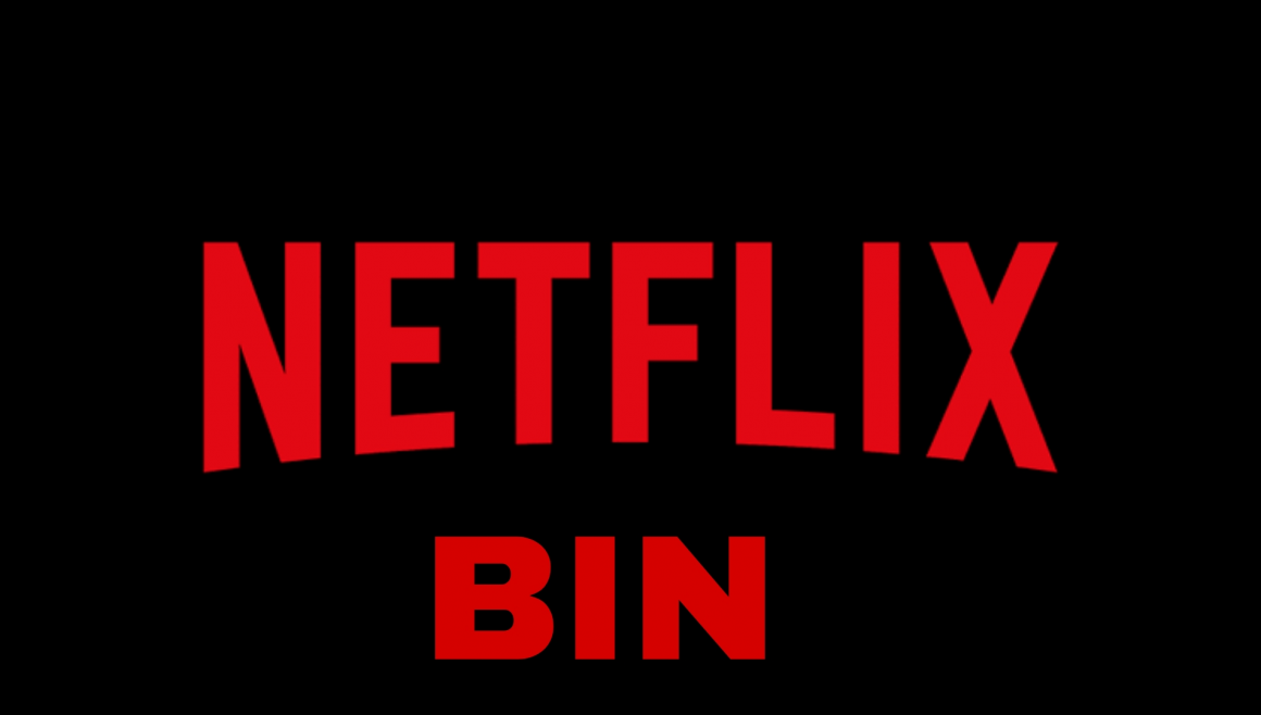 How Do I Create Bin Netflix 2021?