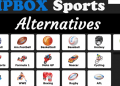 Top 10 Best VipBox Alternatives for Live Sports Streaming