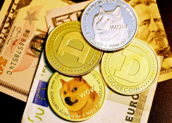 What are the Most Popular Meme Coins?