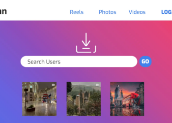 Imginn Free Instagram Image and Videos Downloader