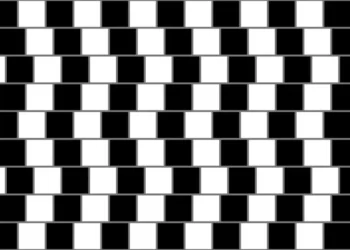 Optical Illusions