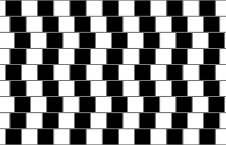 Optical Illusions