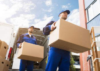 Top 10 Sites Like Shiply with the Best Reviews